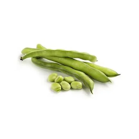 Toptan Bakla - Çilek Fresh