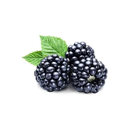 Toptan Böğürtlen - Çilek Fresh