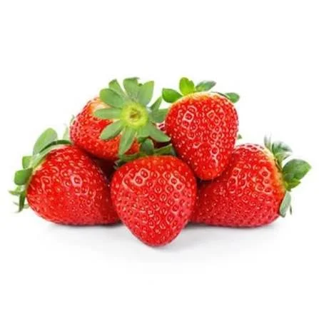 Toptan Çilek - Çilek Fresh