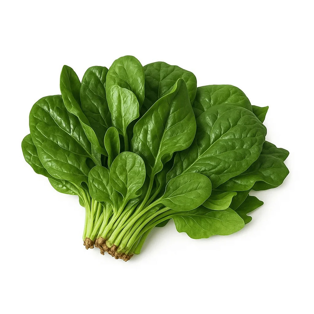 Toptan Ispanak - Çilek Fresh