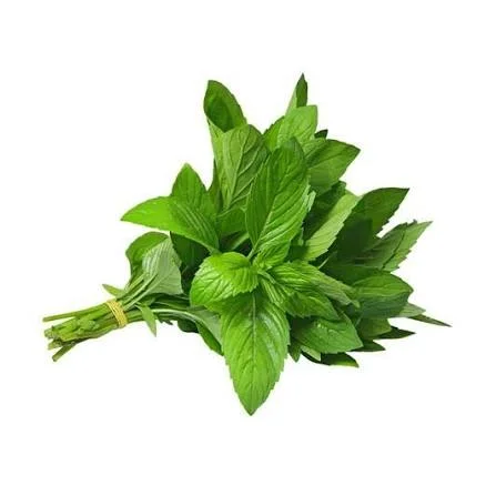 Toptan Nane - Çilek Fresh