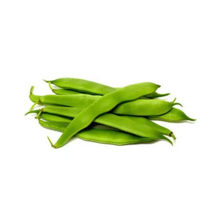 Toptan Taze Fasulye - Çilek Fresh