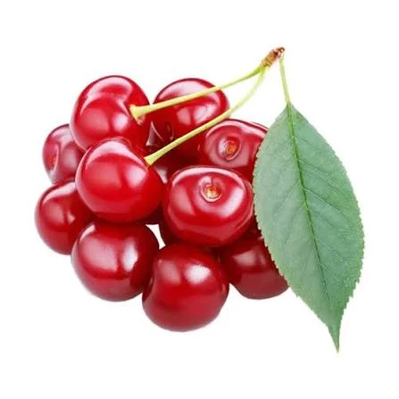 Toptan Vişne - Çilek Fresh